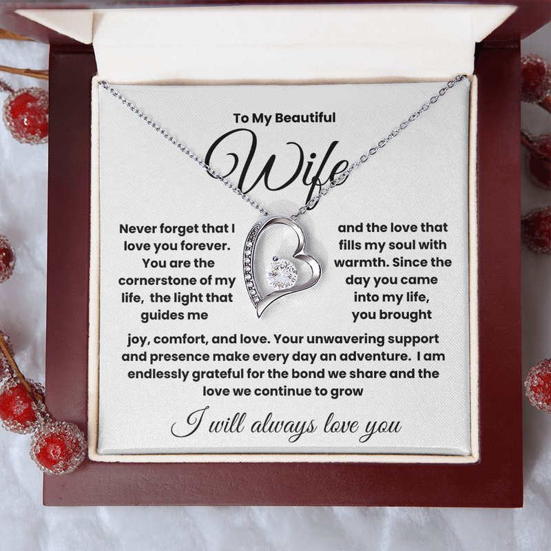 To My Beautiful Wife.