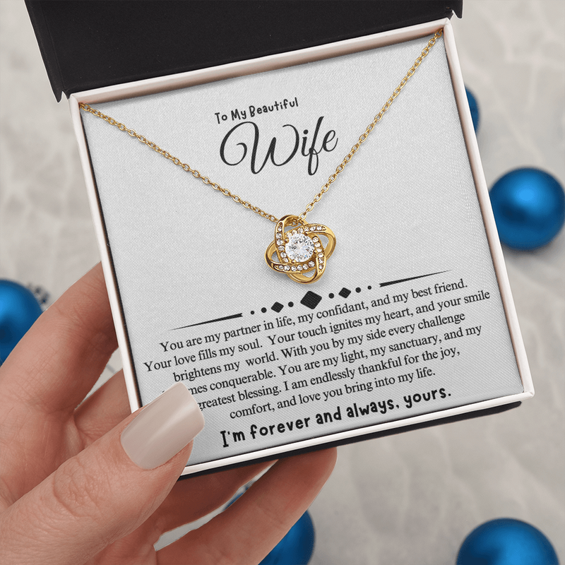 To My Beautiful Wife | You Are My Partner In Life
