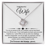 To My Beautiful Wife | You Are My Partner In Life