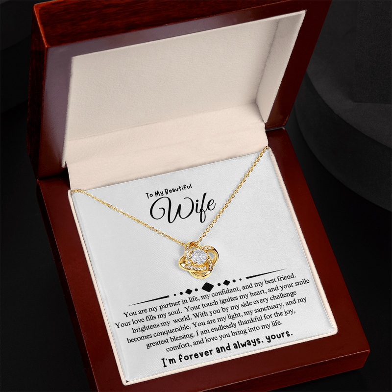 To My Beautiful Wife | You Are My Partner In Life