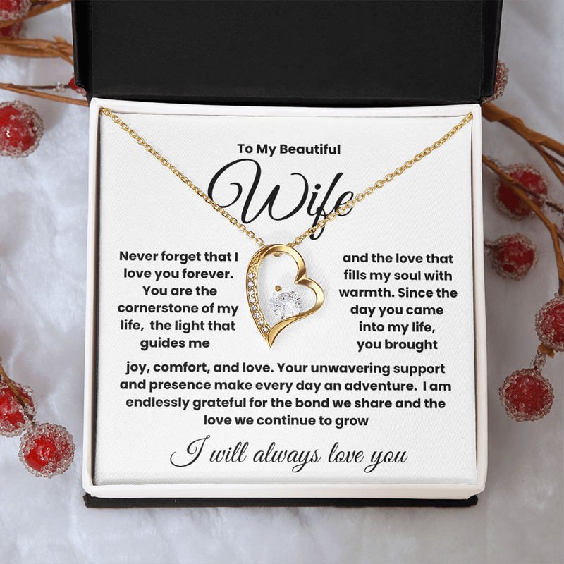 To My Beautiful Wife.