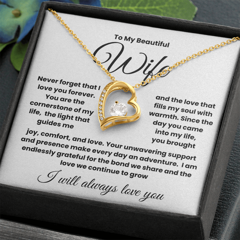 To My Beautiful Wife.